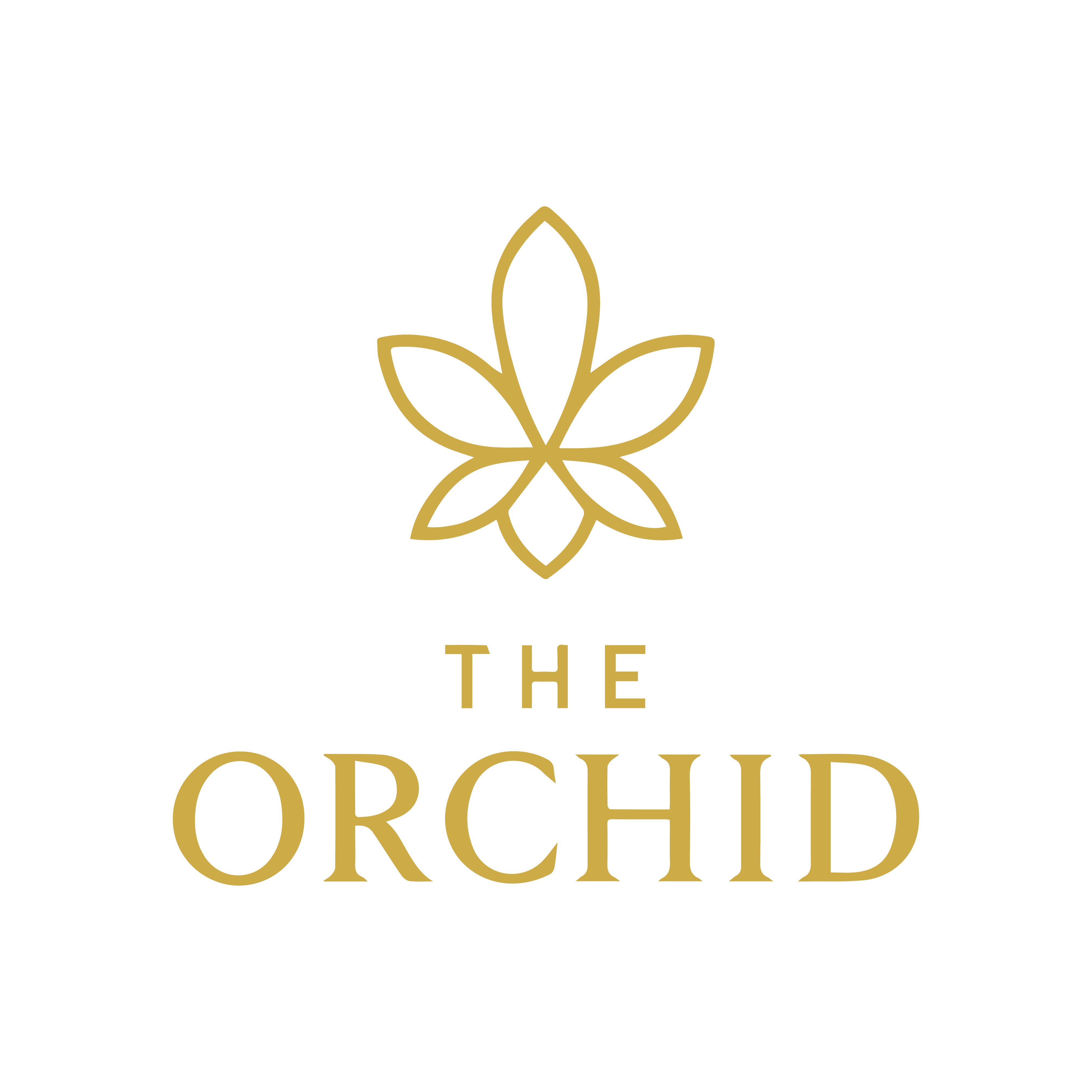 The ORCHID